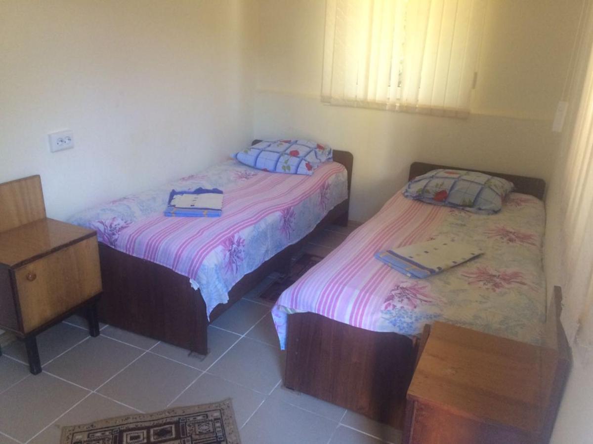 פיזונדה Guest House Yuzhnaya Palmira מראה חיצוני תמונה
